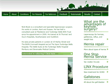 Tablet Screenshot of nicholasboyle.com